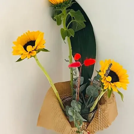 Casa Al Mare Valentina 아파트 *